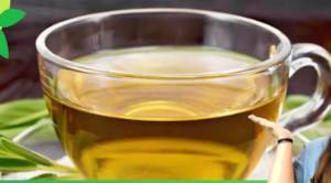 Green Tea Benefits