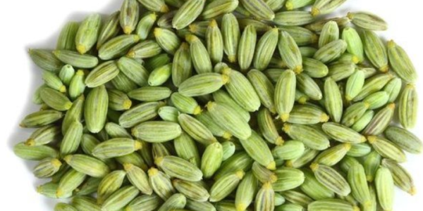 Fennel Seed