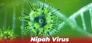 Nipah Virus