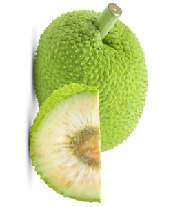 Breadfruit