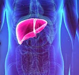 Liver Disease