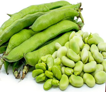 Broad Beans