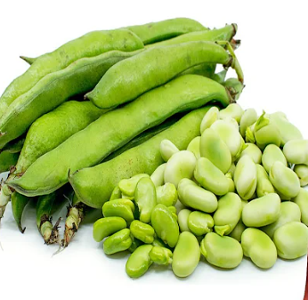 Broad Beans