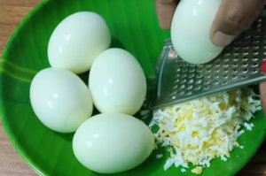 Protein