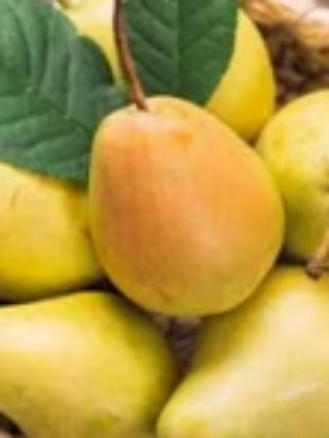 Pear helps in digestion, heart health, and hydration.
