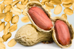 Peanuts