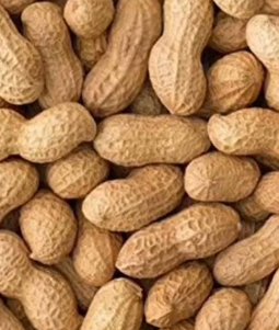 Peanuts