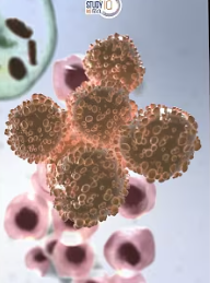 Chemotherapy