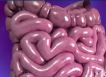 Gut Health