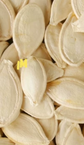 Watermelon Seeds