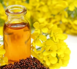 Mustard Oil
