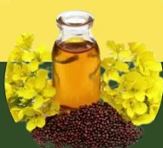 Mustard Oil