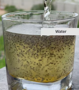 Chia Seeds 