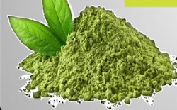 Matcha Tea 