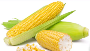 Corn